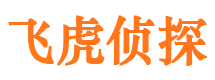 薛城市私家侦探